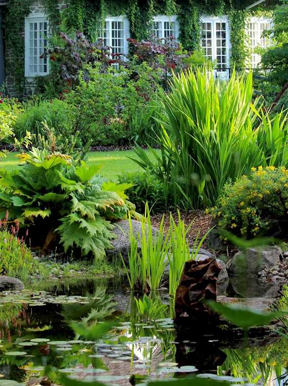 Pond and house at Maison Antoine-Lacombe